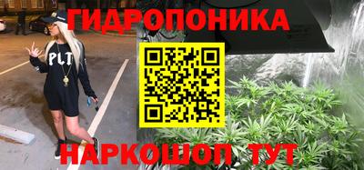 ешки Партизанск