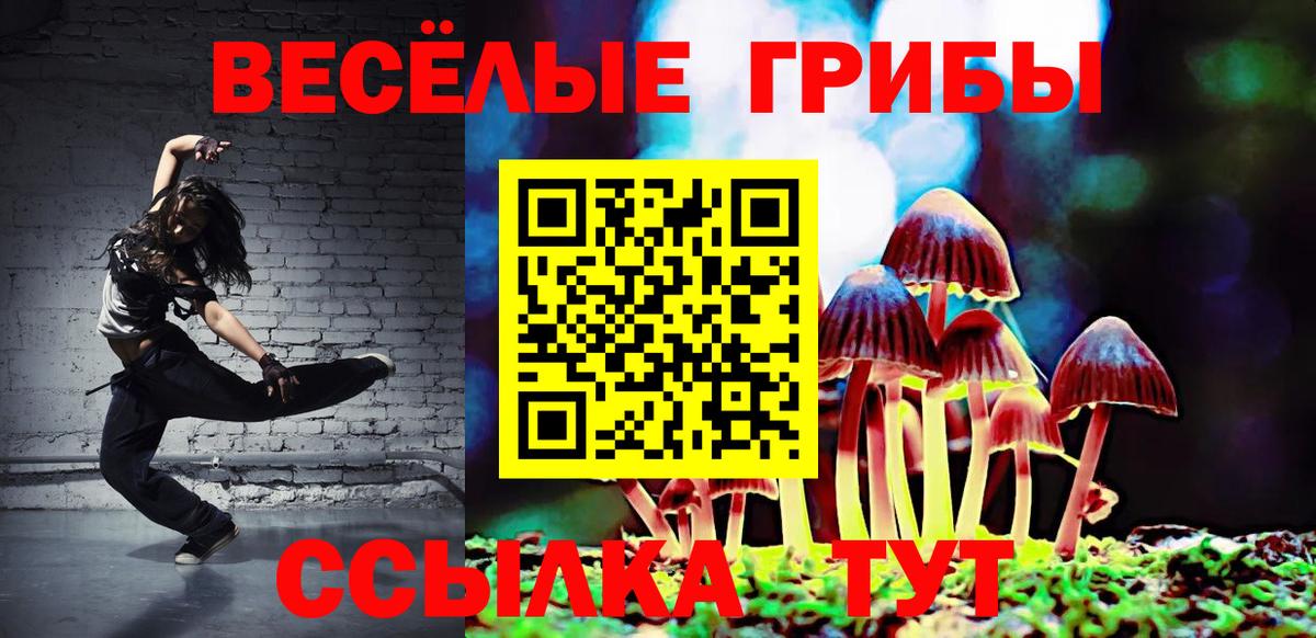 Сосновый Бор  Псилоцибиновые грибы прущие грибы  Вход с VPN 